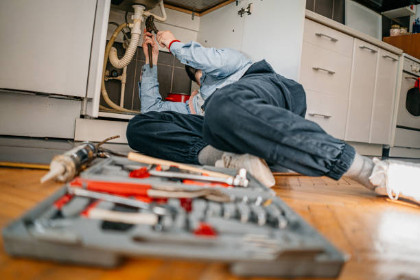 Best Local Plumber Services  in Syracuse, NE